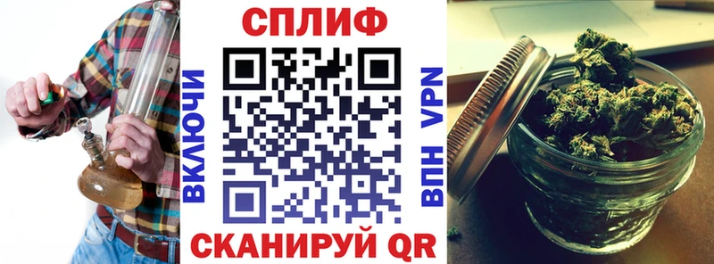 Галлюциногенные грибы Мышкин