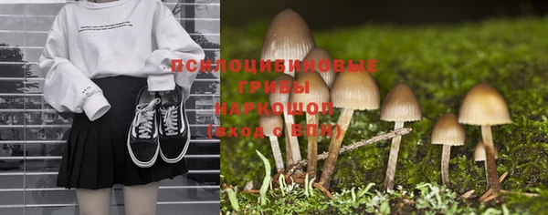 ешки Волоколамск