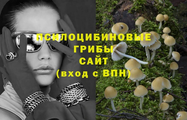 ешки Волоколамск